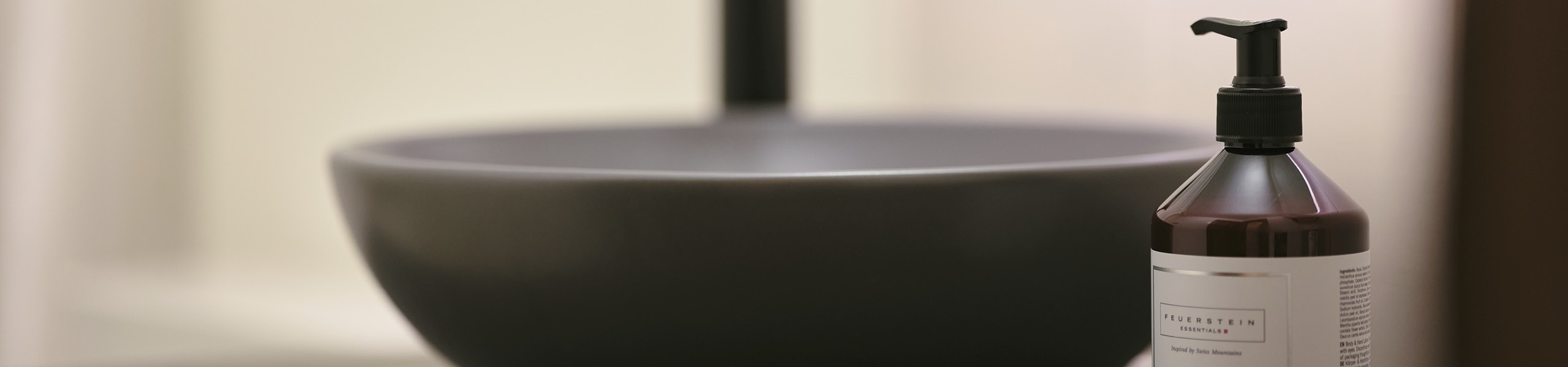 Hotel Bellevue Seelisberg Header Appartements