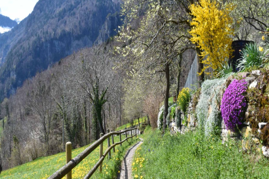 Wochenende auf dem Land